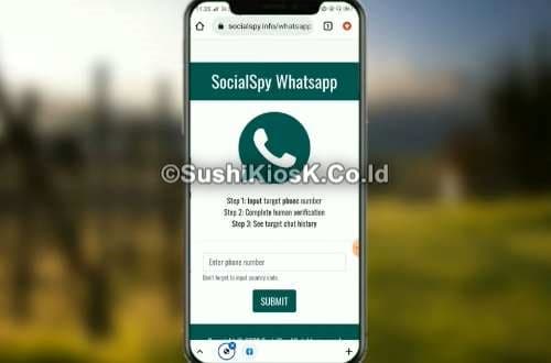 Review-Social-Spy-WhatsApp