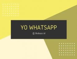 YoWhatsApp (YoWA) Apk Link Download versi Terbaru 2021