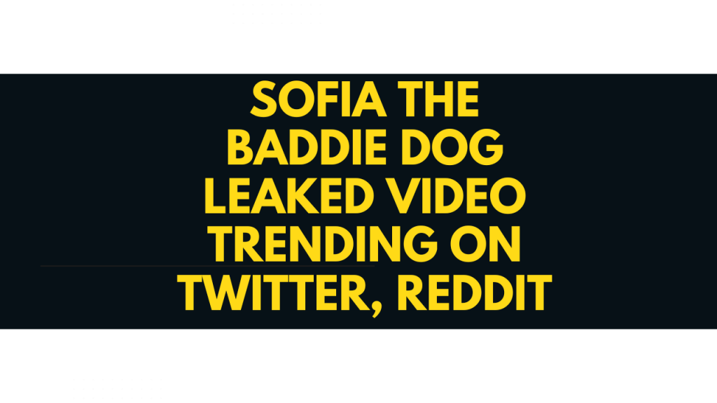 Latest Link Full Video Viral Sofiathebaddie Dog Video Twitter on Trending